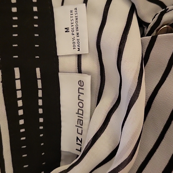VTG LIZ CLAIBORNE 1990s Striped Chiffon Semi-Sheer Button Down Shirt Medium - Picture 2 of 8